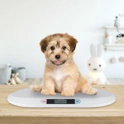 Relaxdays Babyweegschaal Digitaal - Digitale Babyweegschaal - Wit - 10g Tot 20kg 14 Relaxdays Babyweegschaal Digitaal - Digitale Babyweegschaal - Wit - 10g Tot 20kg -Silvergear Shop 550x550 178